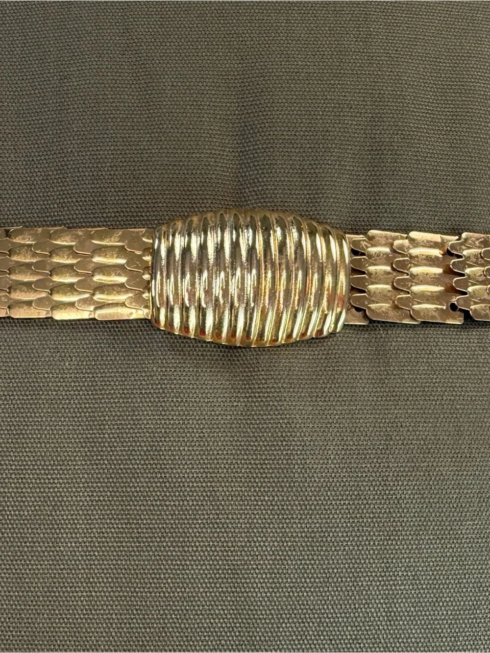 Vintage Gold Tone Stretch Fish Scale Belt Ribbed Oval Buckle